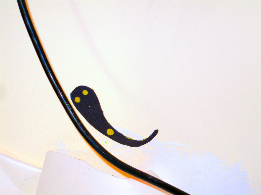 Medium 20150218052622