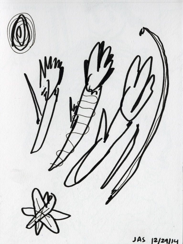 Medium 20150225051533