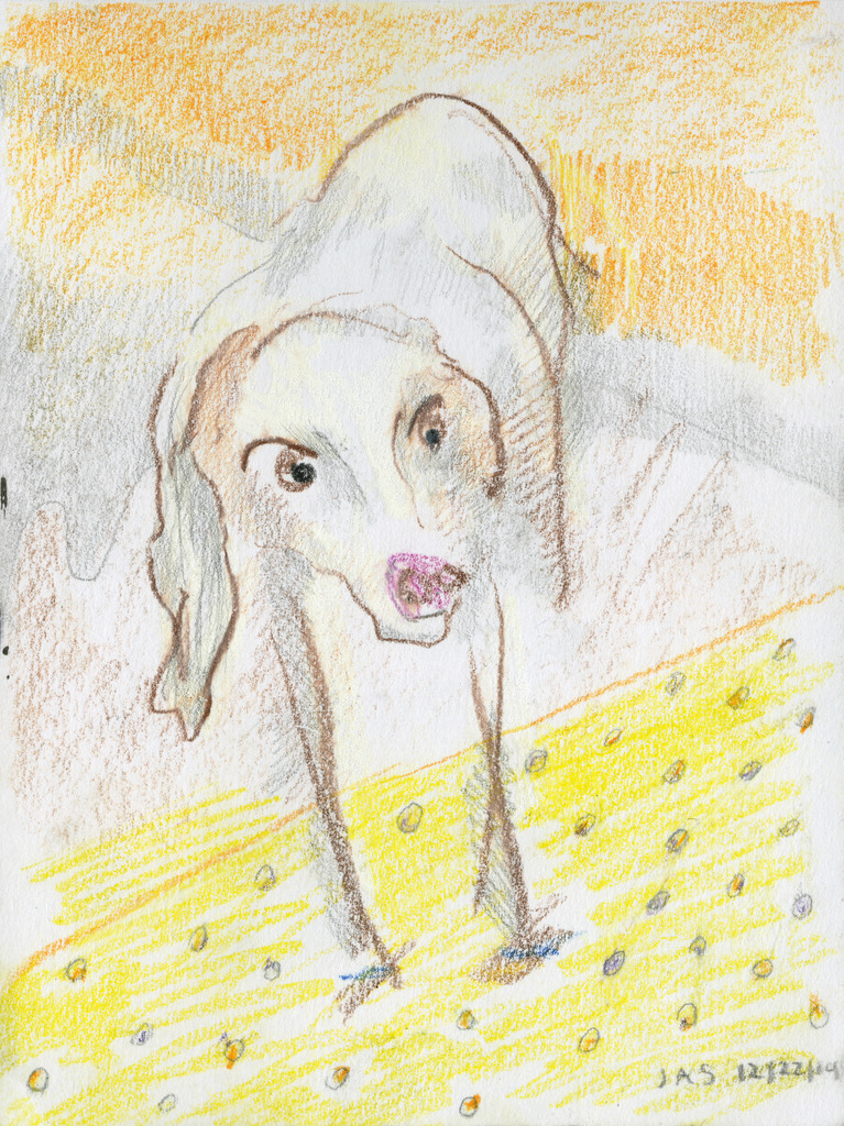 Medium 20150225052156