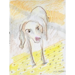 Thumb 20150225052156