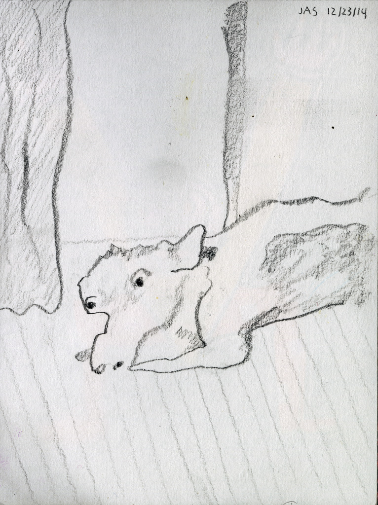 Medium 20150225053018