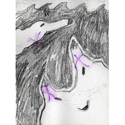 Thumb 20150225053220