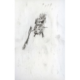 Thumb 20150228024843