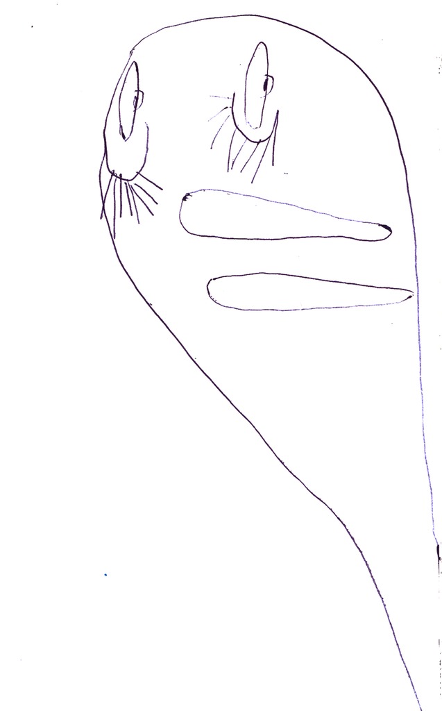 Medium 20150228031111