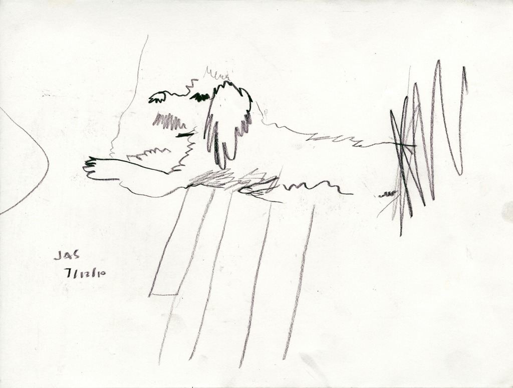 Medium 20150218063742