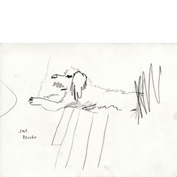 Thumb 20150218063742