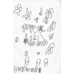 Thumb 20150228215257