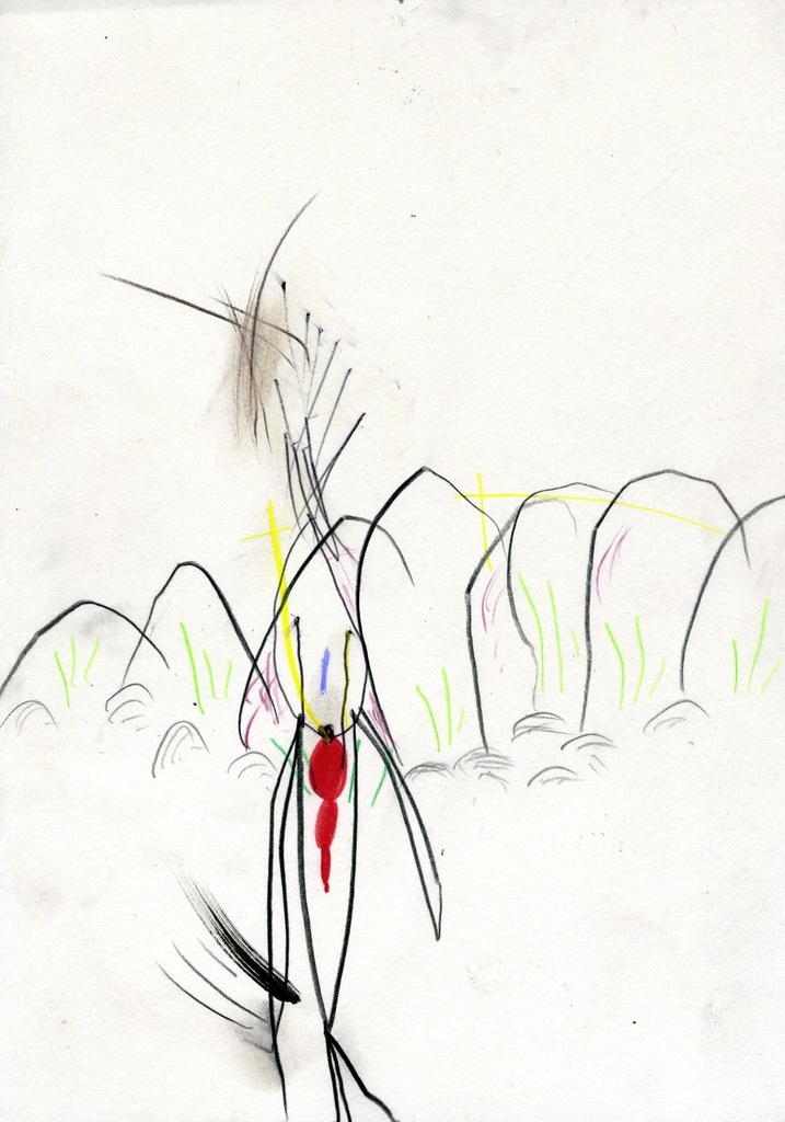 Medium 20150228221438