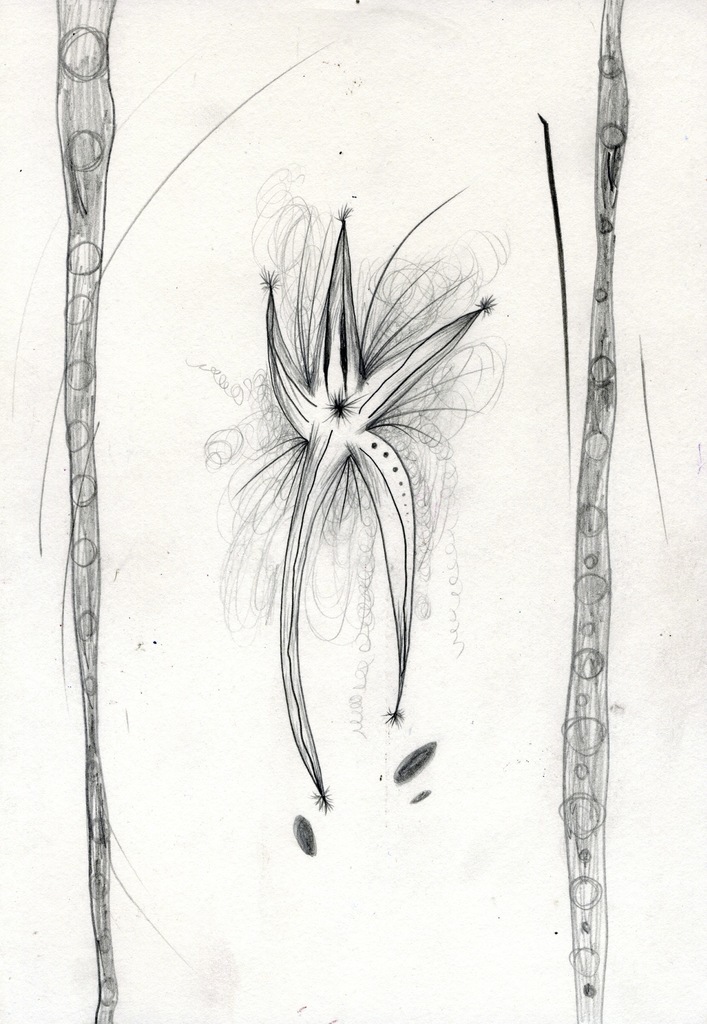 Medium 20150228223916