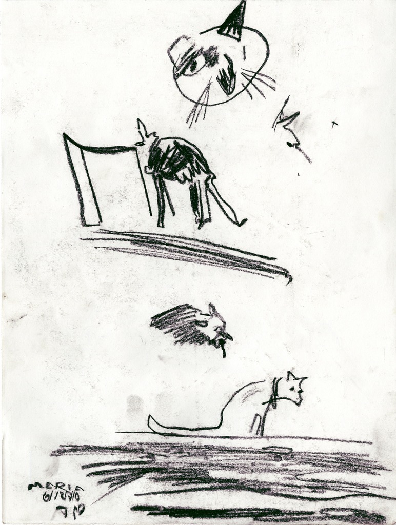 Medium 20150218172651