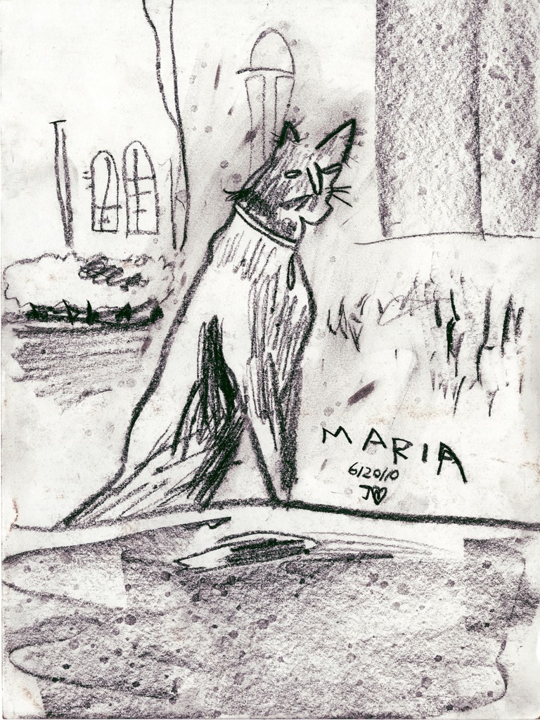 Medium 20150218172908