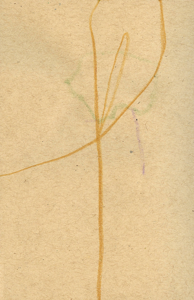 Medium 20150228231913