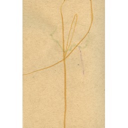 Thumb 20150228231913