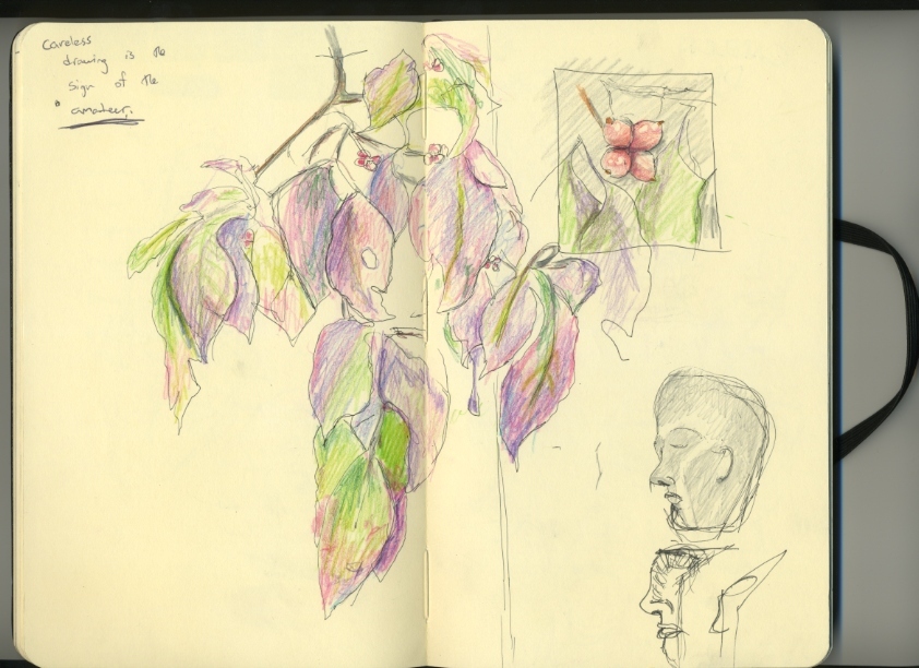 Medium 20150301002028