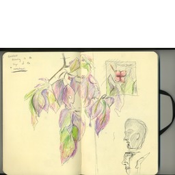 Thumb 20150301002028