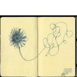 Thumb 20150301003556