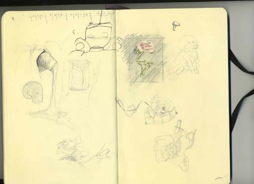 Medium 20150301004629