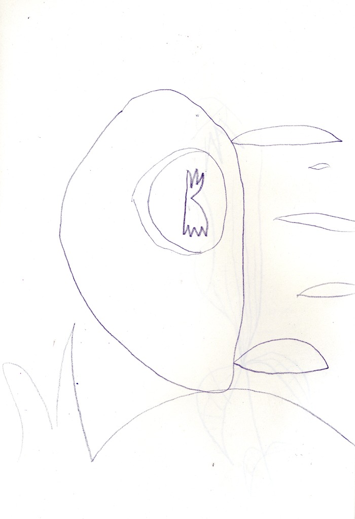 Medium 20150301203148