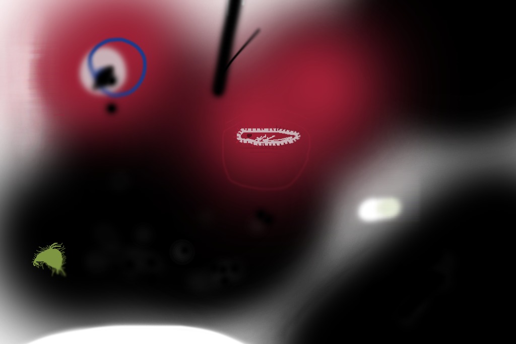 Medium 20150302045637