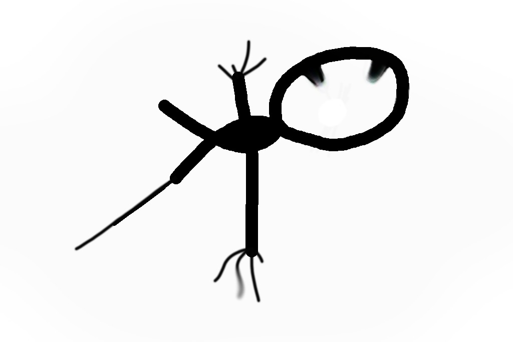 Medium 20150302050347