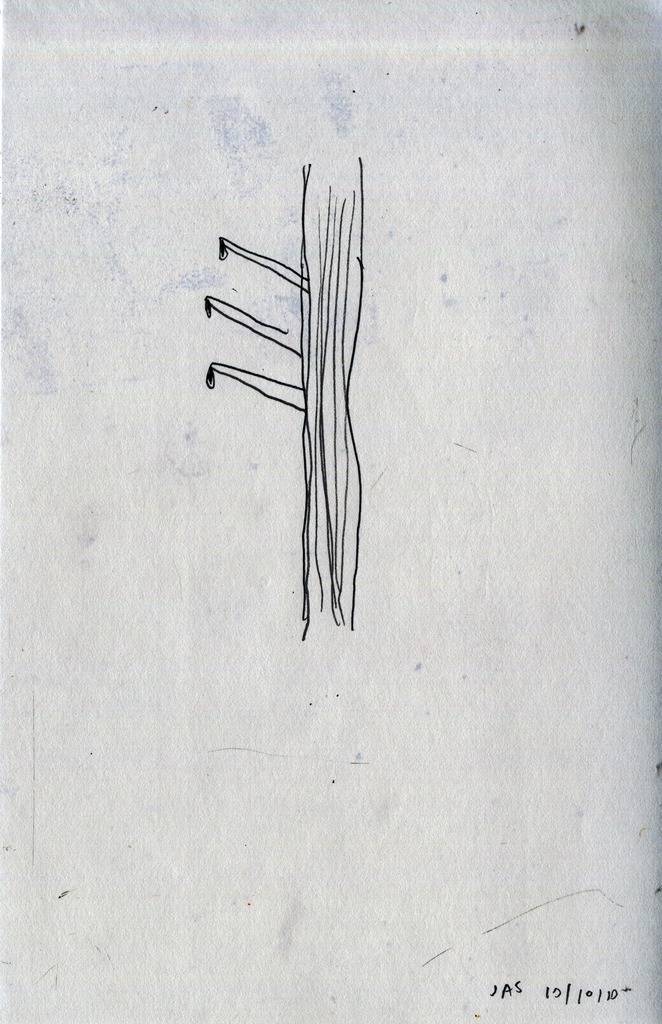 Medium 20150302052518