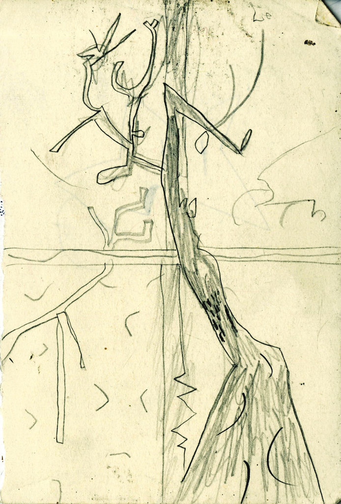 Medium 20150302053751