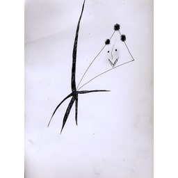 Thumb 20150302061023