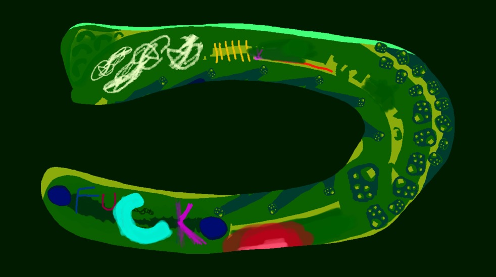 Medium 20150303203849