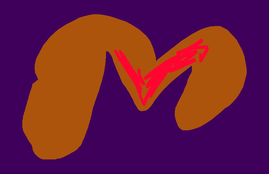 Medium 20150303205624