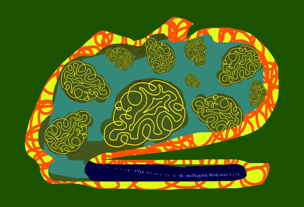 Medium 20150303211607