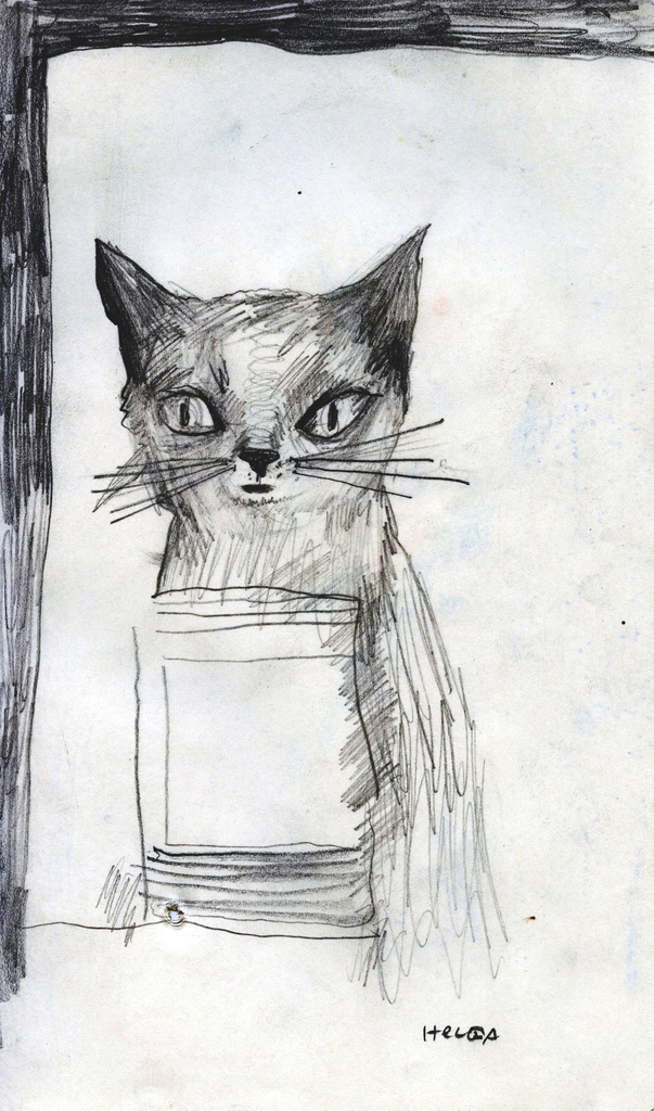 Medium 20150218184754