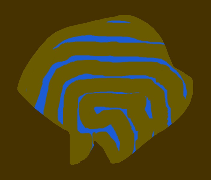 Medium 20150303221205