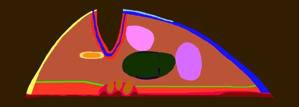 Medium 20150304000319