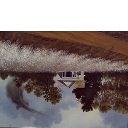 Thumb 20150205215040