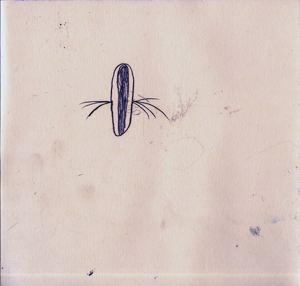 Medium 20150304003052