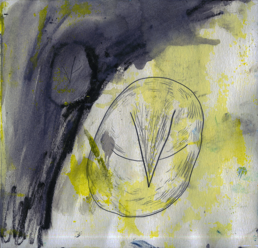 Medium 20150304003222