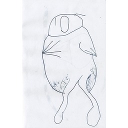 Thumb 20150304222406