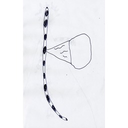 Thumb 20150304222421