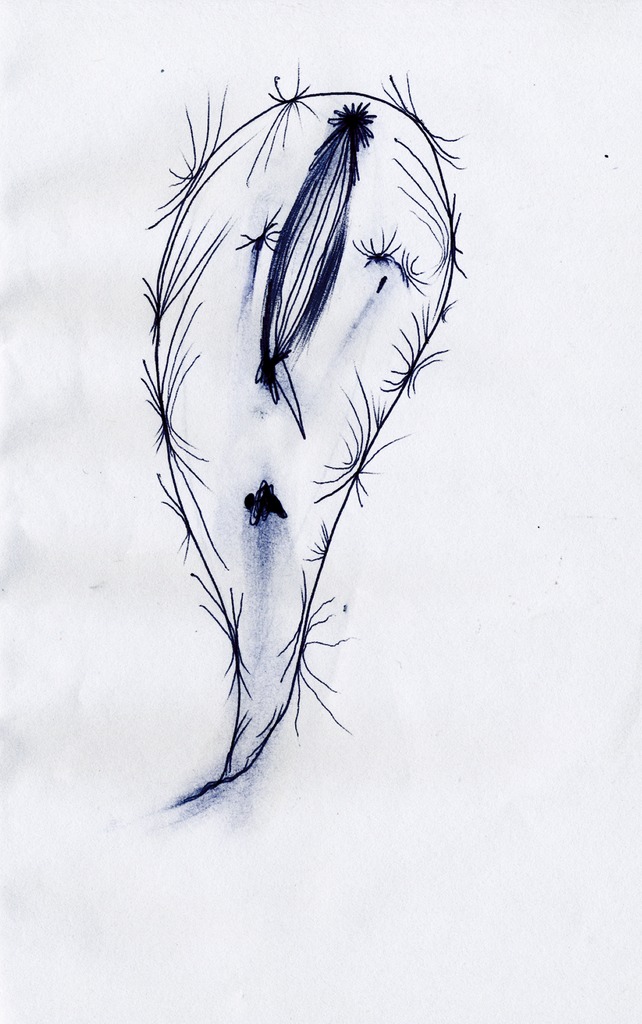 Medium 20150304222638