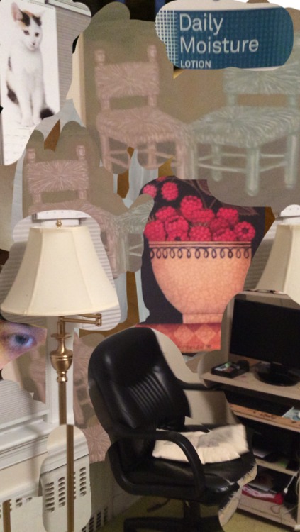 Medium 20150310013837