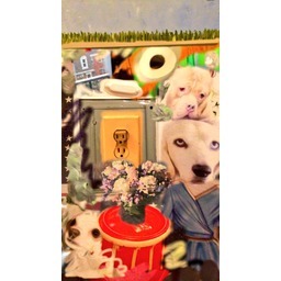 Thumb 20150310013912