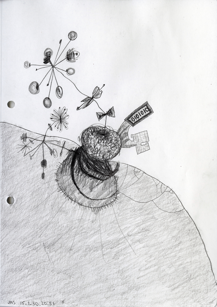 Medium 20150312202816