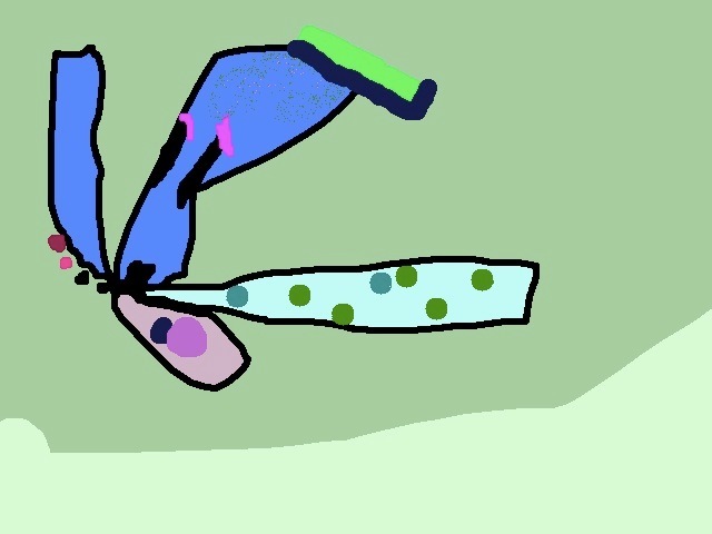 Medium 20150220183714