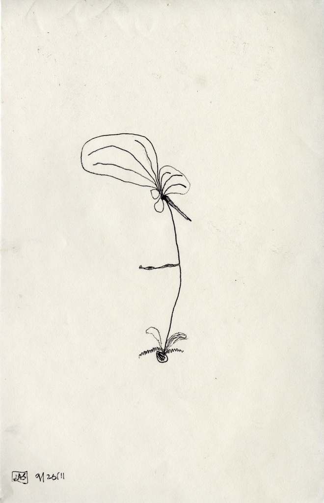 Medium 20150314150250