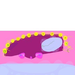 Thumb 20150222191111