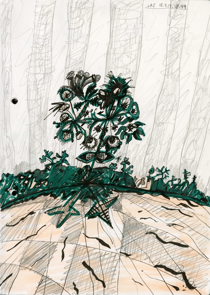 Medium 20151029164952