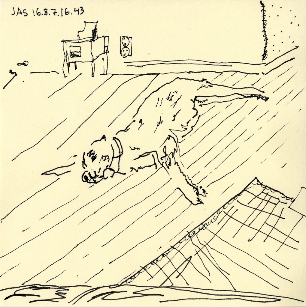 Medium 20160828213152