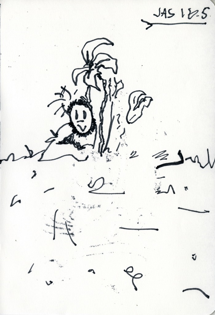 Medium 20160828224614