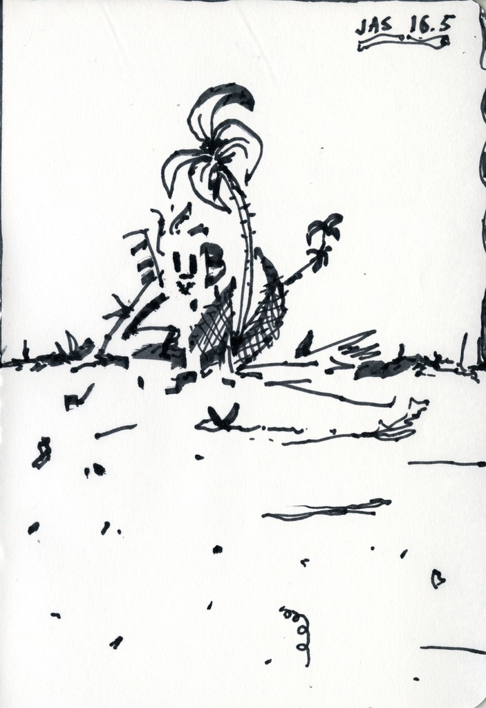 Medium 20160828224632