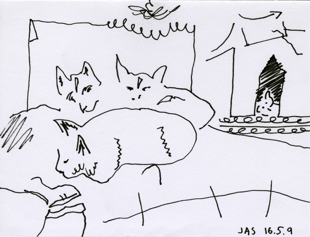 Medium 20160828231132